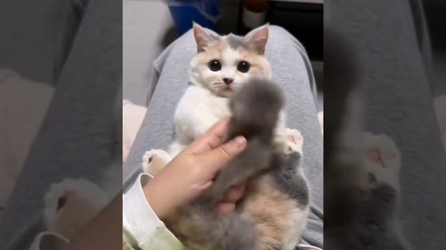 ?