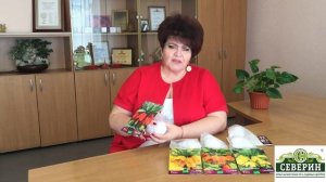 Рябчик императорский - королевская персона в вашем саду!!!