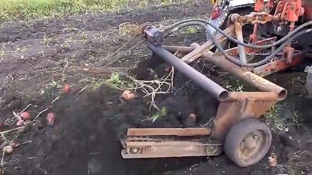 Картофеле копалка своими руками к трактору