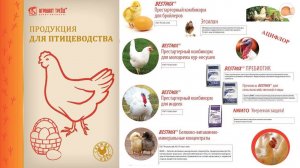 Рост цен на белковое сырье. Использование фермента Протеаза для удешевления рационов