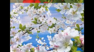 2 класс-Окружающий мир-"Невидимые нити в лесу"-20.04.2020г.