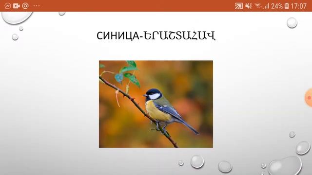 Птицы  - вестники весны