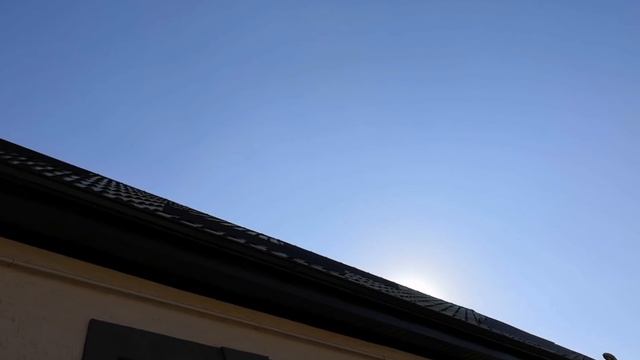 Сокола Сапсан атакуют в точке минус голубь.Falcon Peregrinus Attack pigeons. смотреть онлайн