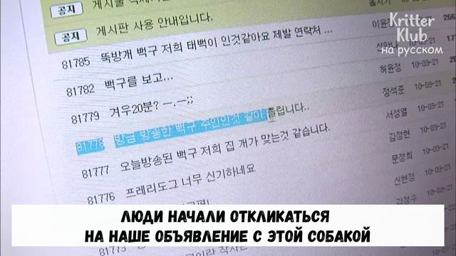 Потеряшка наконец нашла свою семью - как это было | Криттер Клуб