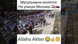 Мусульмане молятся на улицах москвы