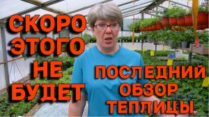 Последний обзор теплицы. В следующем видео покажем основную теплицу! Не пропустите!