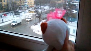 Басик и Лили на улице