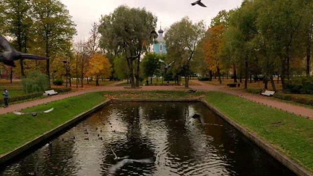 Бесстрашные голуби и отличные манёвры Mavic из Сампсониевского сада | Аэросъёмка в Спб смотреть онлайн