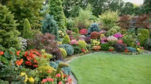 Автор и исполнитель Н. Мотков - "Волшебный сад любви "