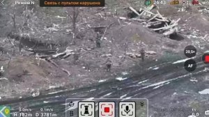 🔴Заградотряд из наёмников поляков, грузин, расстрелял ВСУшников, которые отказались идти на штурм🔴