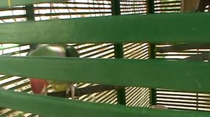 Впечатления об отеле dreams beach resort 5*.Шарм эль Шейх.