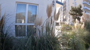 14.11.2k20 Адлер. Не опять а снова !! Рыбалка на чёрном море. Ловля кефали чуларки .. 4К..