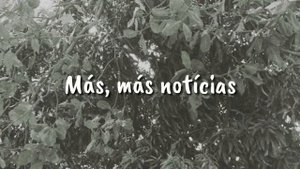 Billie Elish, My strange addiction (tradução) || Sad lyrics