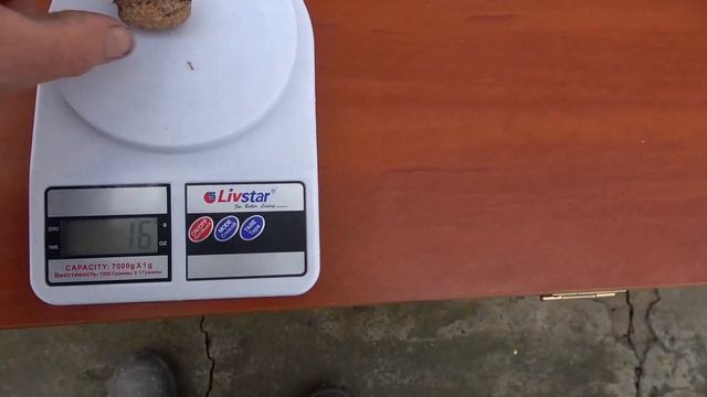 Обзор плодов грецкого ореха /Самый крупный и самый вкусный смотреть онлайн