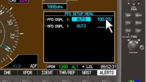 Краткий обзор PFD Garmin G1000 Cessna 172S