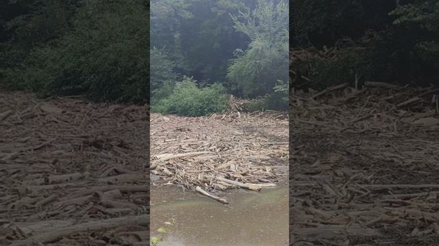 Поход на озеро Богатырь, село Нагорное Бахчисарайский район.