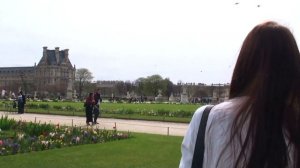 le jardin des Tuileries - Paris, France