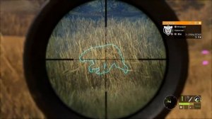 theHunter Call of the Wild #1 ? - Тест Экспансивных Боеприпасов - Патч 1.30