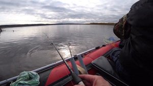 РЫБАЛКА НА СПИННИНГ НА ОБИ/ПОКЛЁВКИ НА КАЖДОМ ЗАБРОСЕ/ОКУНЬ/ЩУКА/КАМЕННОЕ/ХМАО/ПРОДОЛЖЕНИЕ.