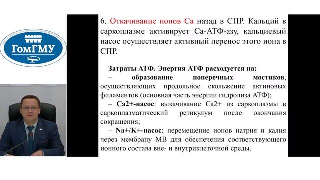 Физиология мышц - лекция 2 часть 2