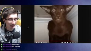 2024-01-24 Обзор. Миша ты что пукнул. Прислала Тата