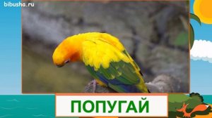 Учимся читать по слогам и складам "ПТИЦЫ" | Карточки по методике ЗАЙЦЕВА