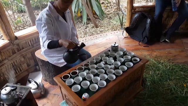 Моя кофейная церемония в 1-й день в Аддис-Абебе смотреть онлайн