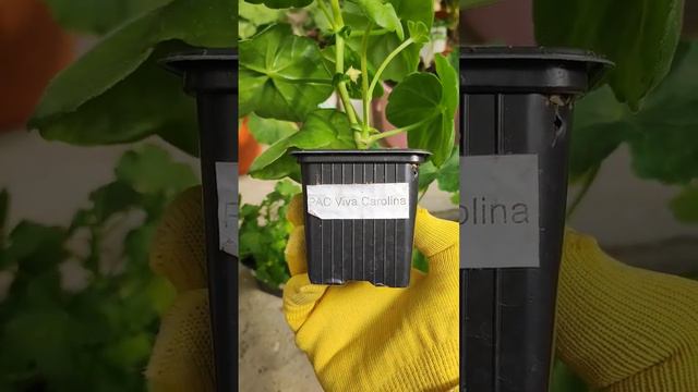 НАУЧНО ДОКАЗАНО 💥 смотреть онлайн