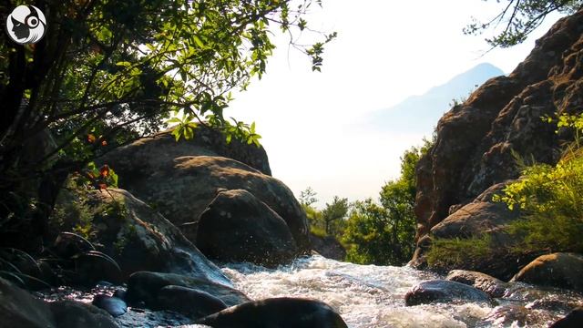 Нежная Гитара. Красивая Музыка Для Релаксации И Отдыха. смотреть онлайн