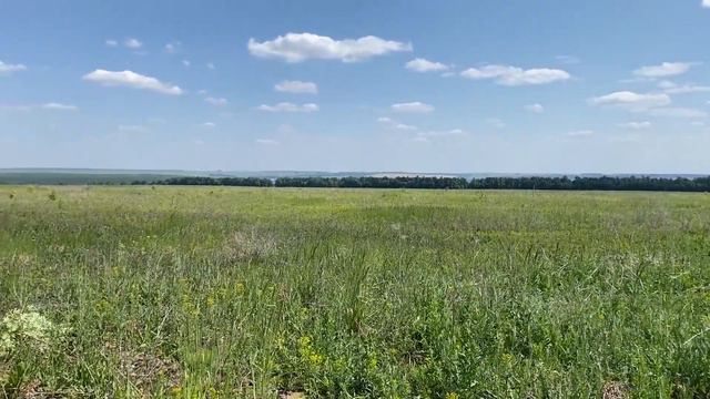 2 ГА Запуск клубничного поля с нуля. смотреть онлайн