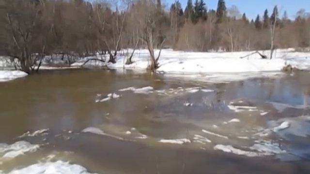 2013-04-17 Веля смотреть онлайн