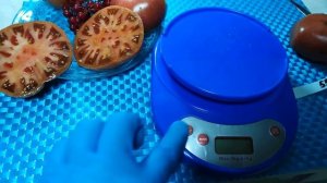 Обзор томата в разрезе. Дегустация.  Сорт Дикий картофельный лист. томат серии Гном .часть 7