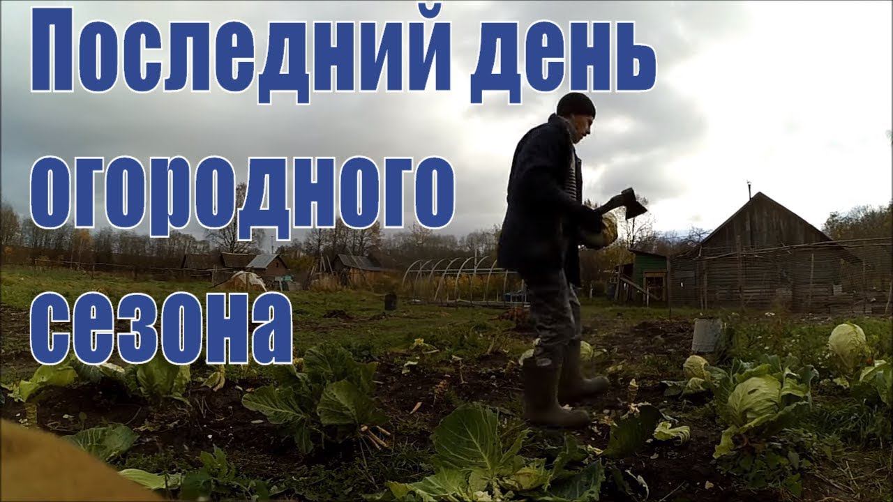 Последний день в огороде // Жизнь в деревне смотреть онлайн
