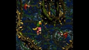 Donkey Kong Country 2 Stickerbush Symphony with Gameplay