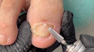 IMG_1239