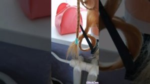 Афро косички