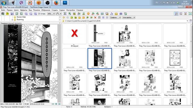 FastStone Image Viewer. Краткий обзор программы. смотреть онлайн