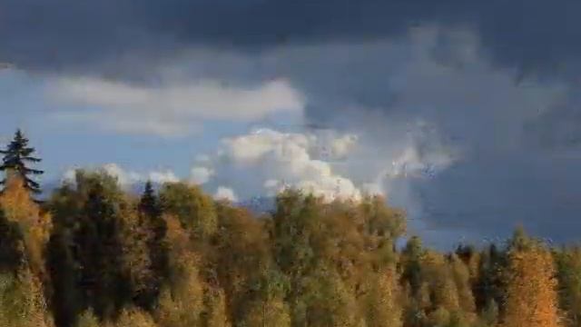 Осенний вернисаж