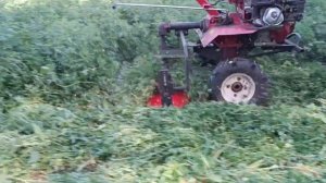 Кошу роторной косилкой через ВОМ, мотоблоком Брайт 15 л.с.