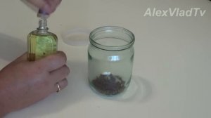 защита от мошки - народное средство