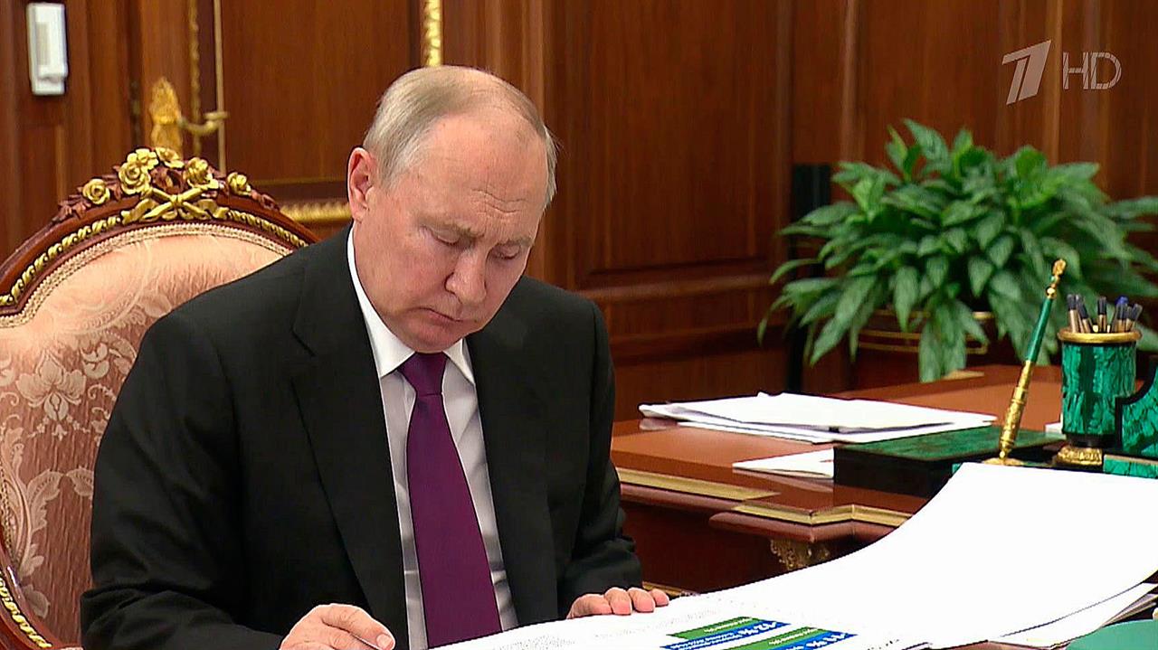 Министр природных ресурсов и экологии доложил президенту о реализации масштабных проектов