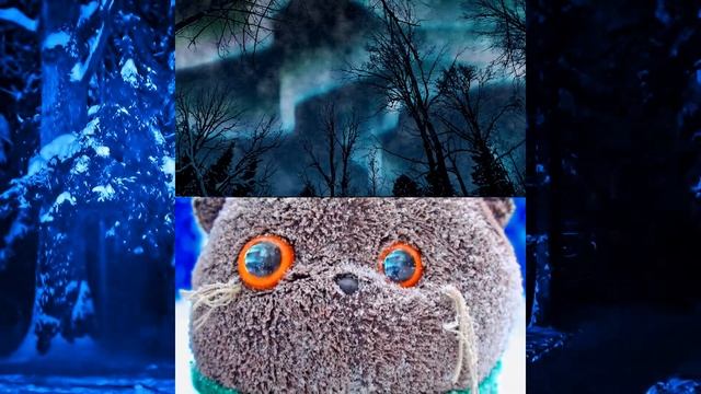 Северное сияние. МедиаБум 4 тур #медиабум #movaviedu смотреть онлайн