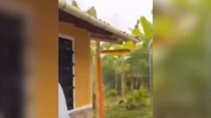 Мемасики, приколы.