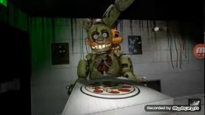 Дружелюбный фокси 3