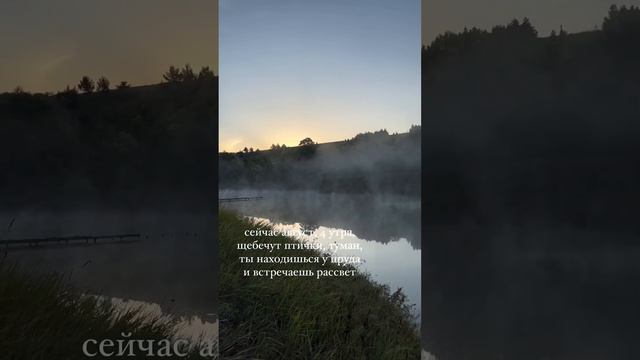 4 утра, август смотреть онлайн