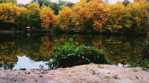 Приёмные/Обзор.