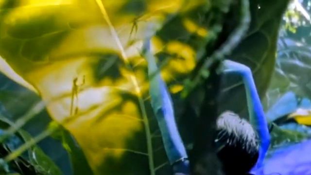 Кири😍Аватар 2💙 смотреть онлайн