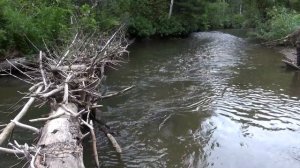 Рыбачьте с нами, рыбачьте лучше нас.