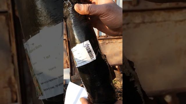 Интерфлора.Обзор.