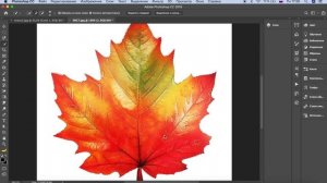 Фотошоп волшебная палочка как пользоваться | Быстрое выделение | Photoshop для начинающих | Урок 8